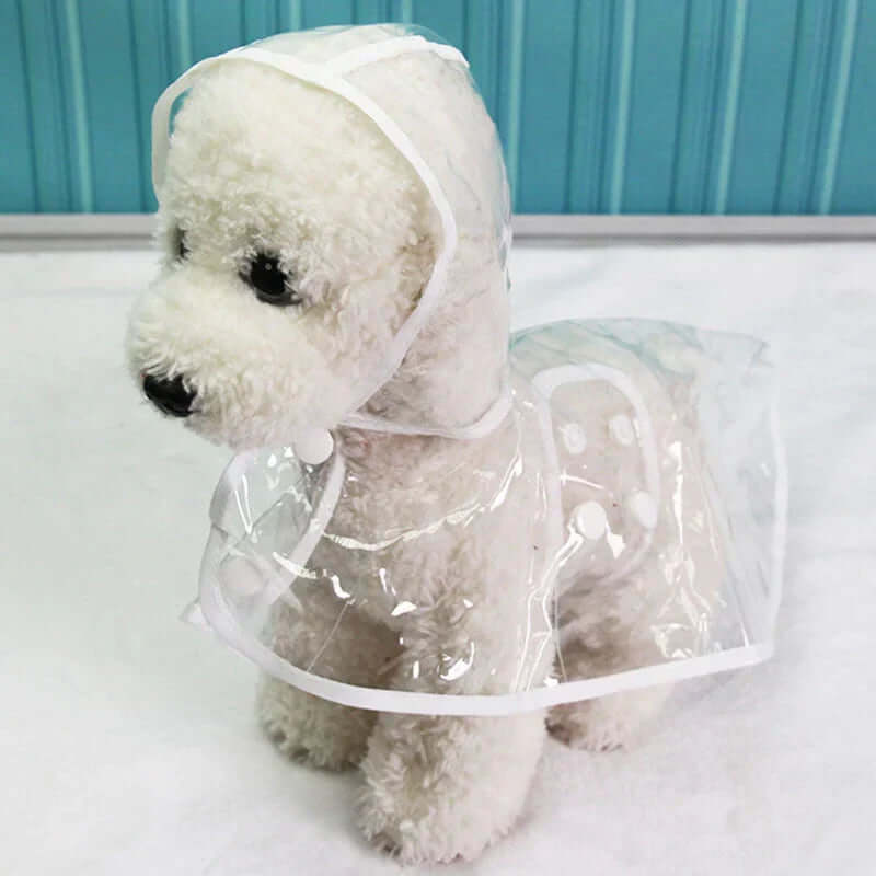Veste imperméable transparente pour chien