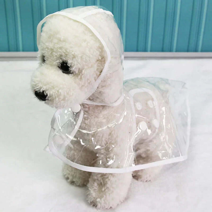 Veste imperméable transparente pour chien