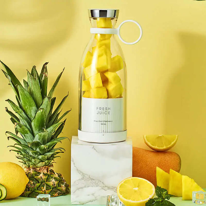 Mini mixeur portable pour smoothies et shakes