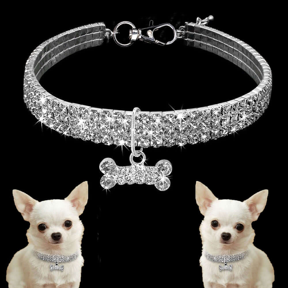 Collier scintillant pour animaux de compagnie avec strass