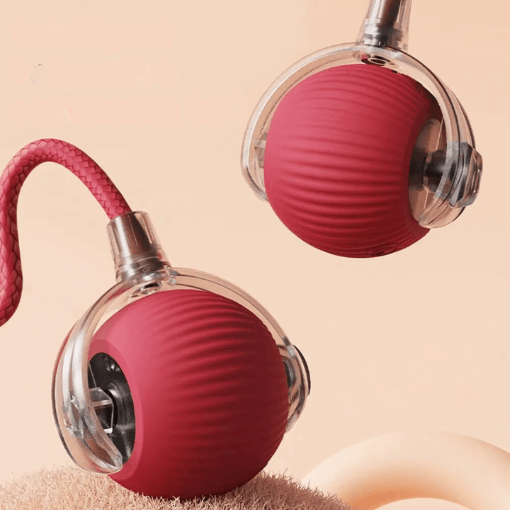 Interaktiver Katzenball mit Schwanz