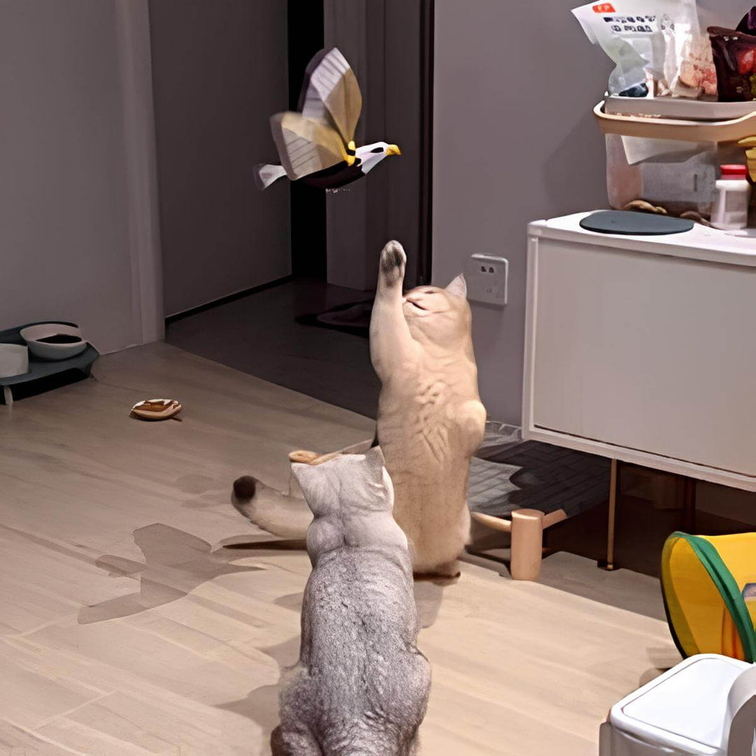 Katzenspielzeug fliegender Vogel - Automatisches Bewegungsspielzeug