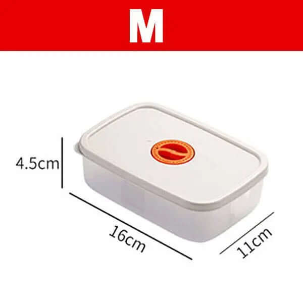 Boîte à bento multi-compartiments - Lunchbox durable