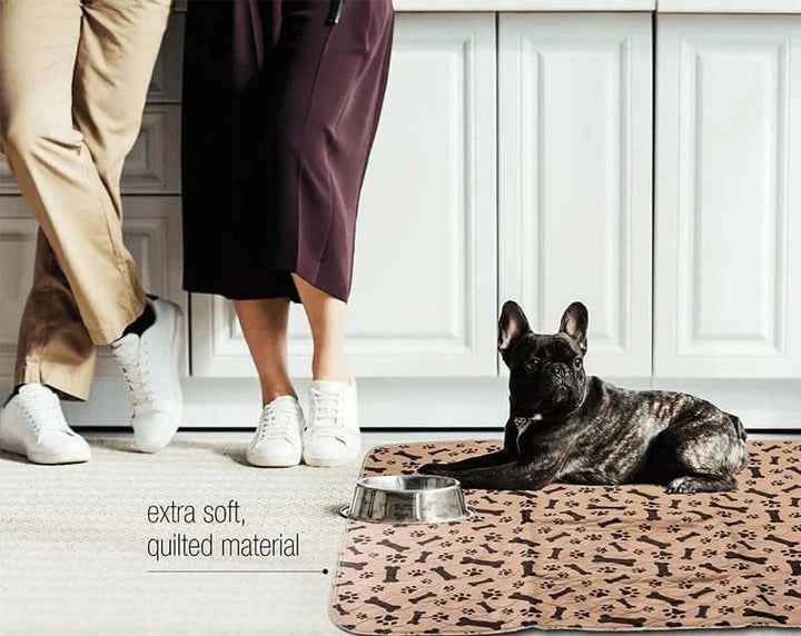Tapis de dressage réutilisable pour chien