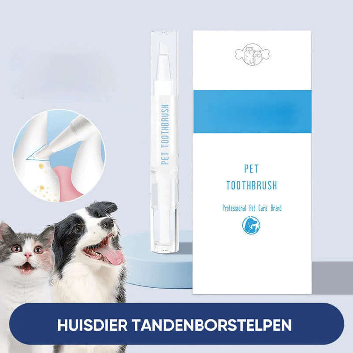 Stylo de soins dentaires pour chiens et chats