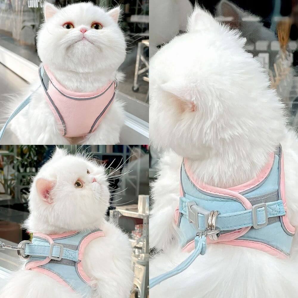 Ausbruchsicheres Katzengeschirr