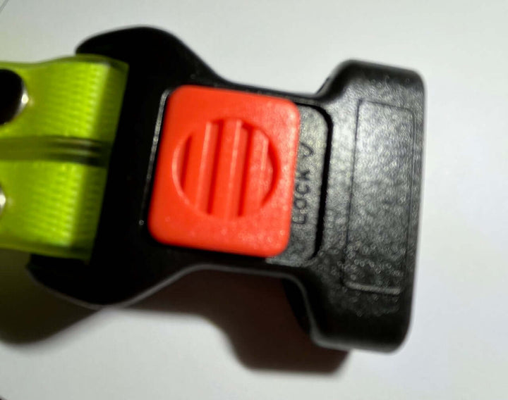 Collier LED pour chien avec laisse - Sûr et visible