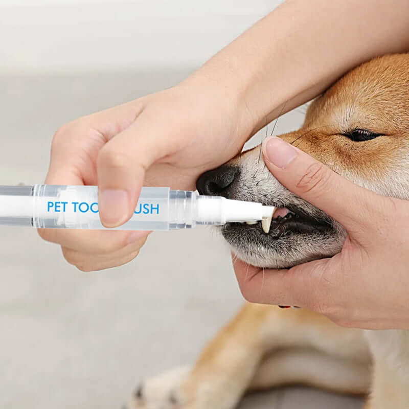 Stylo de soins dentaires pour chiens et chats