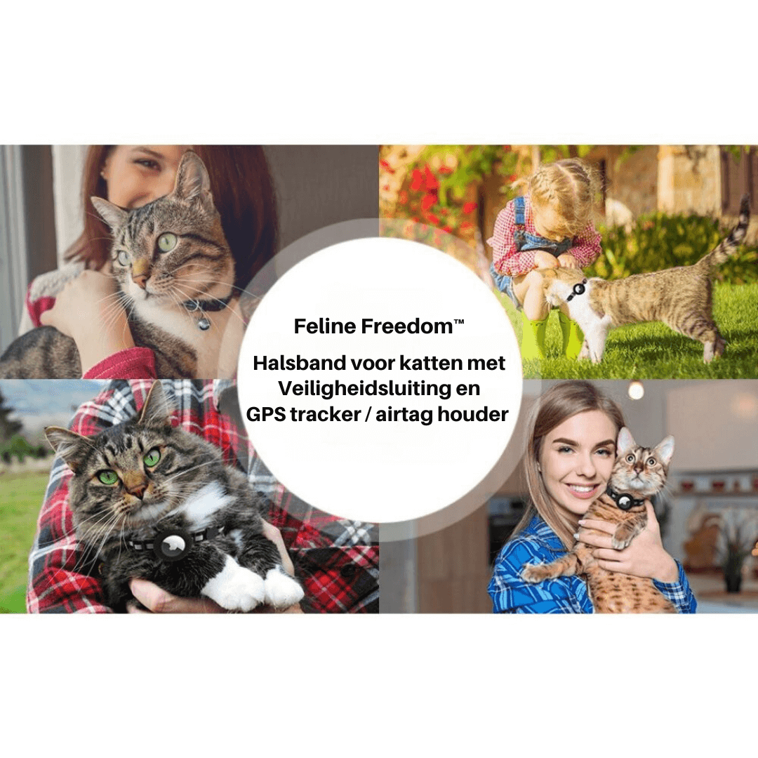 Katzenhalsband mit Sicherheitsverschluss & GPS-Tracker Halterung