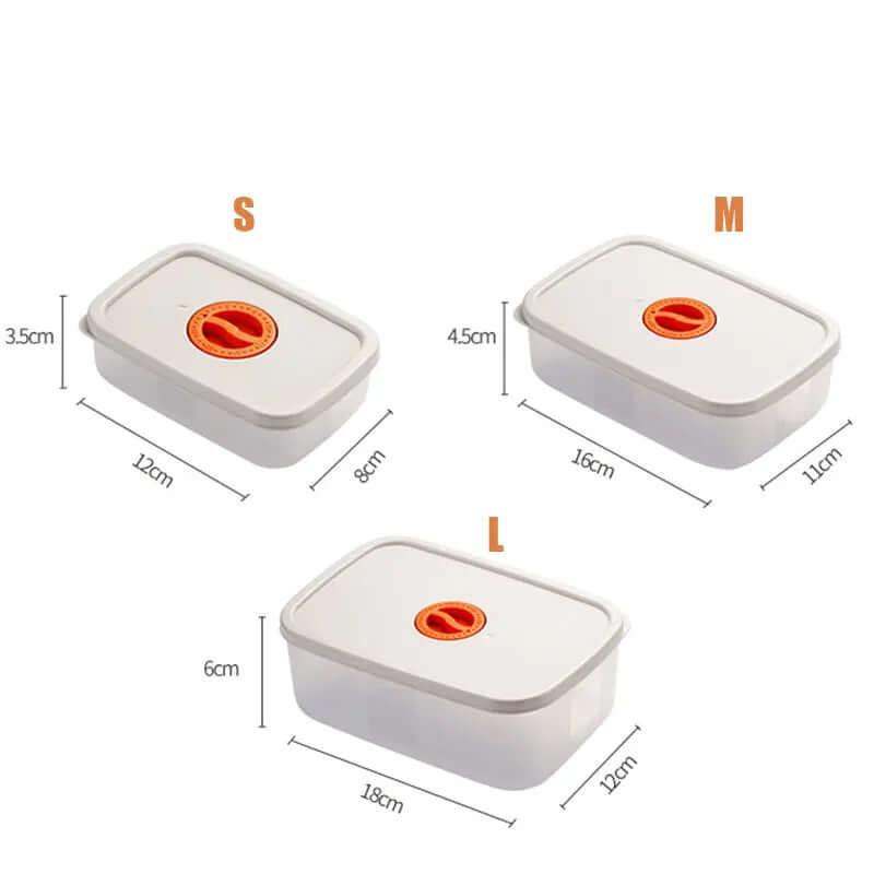 Boîte à bento multi-compartiments - Lunchbox durable