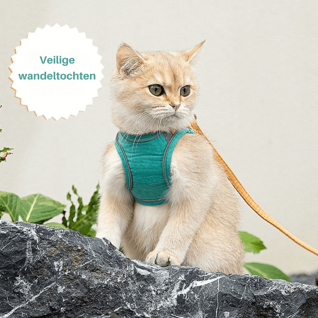Ausbruchsicheres Katzengeschirr