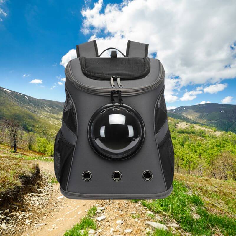 Katzen Transporttasche Reisefreundlich & Faltbar