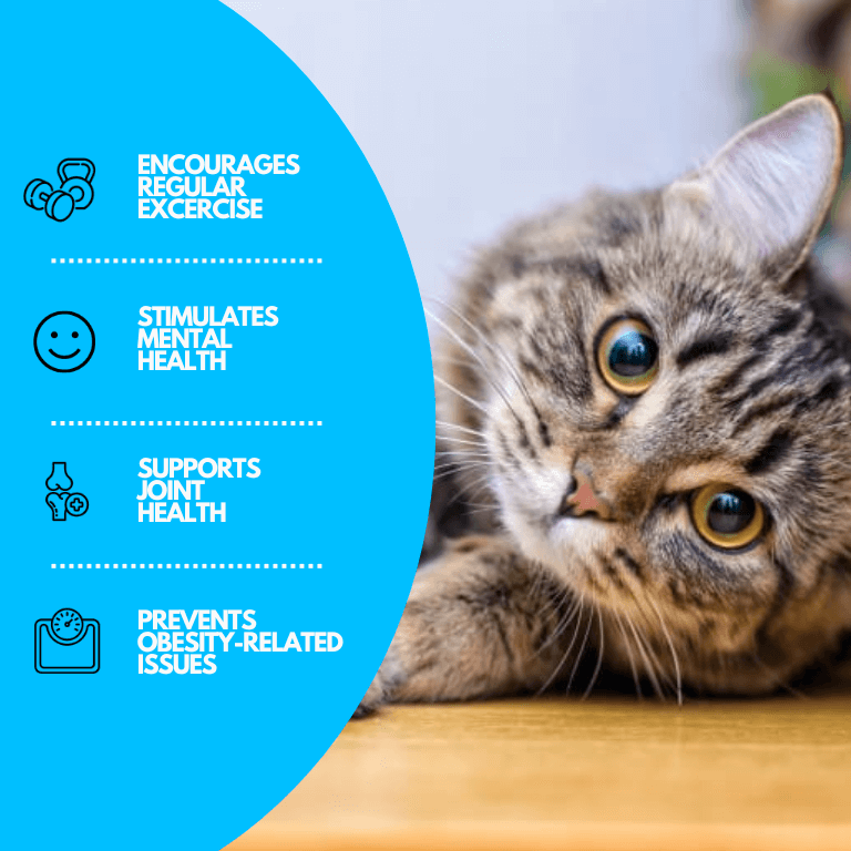 Tapis de jeu d'eau interactif pour chats