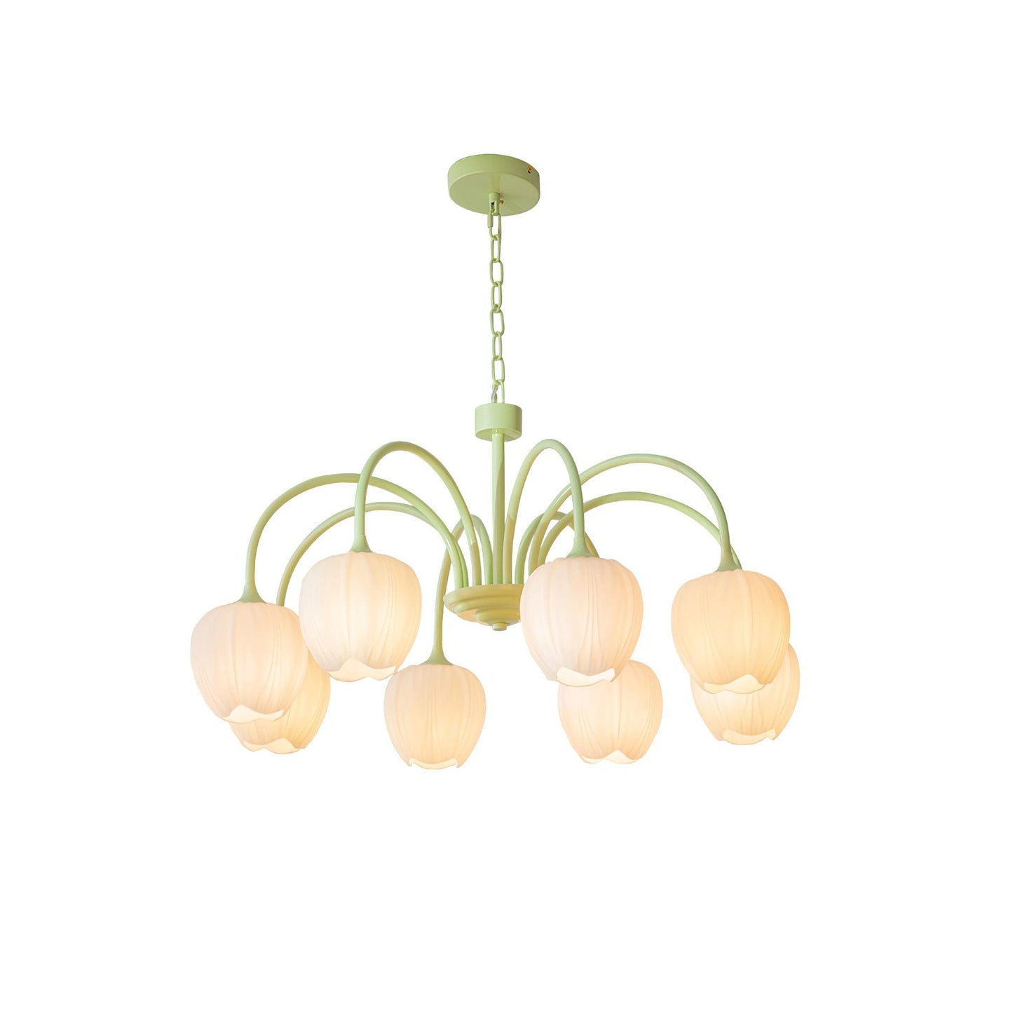 Tulpen-Matcha-Kronleuchter - 5-8 Leuchten