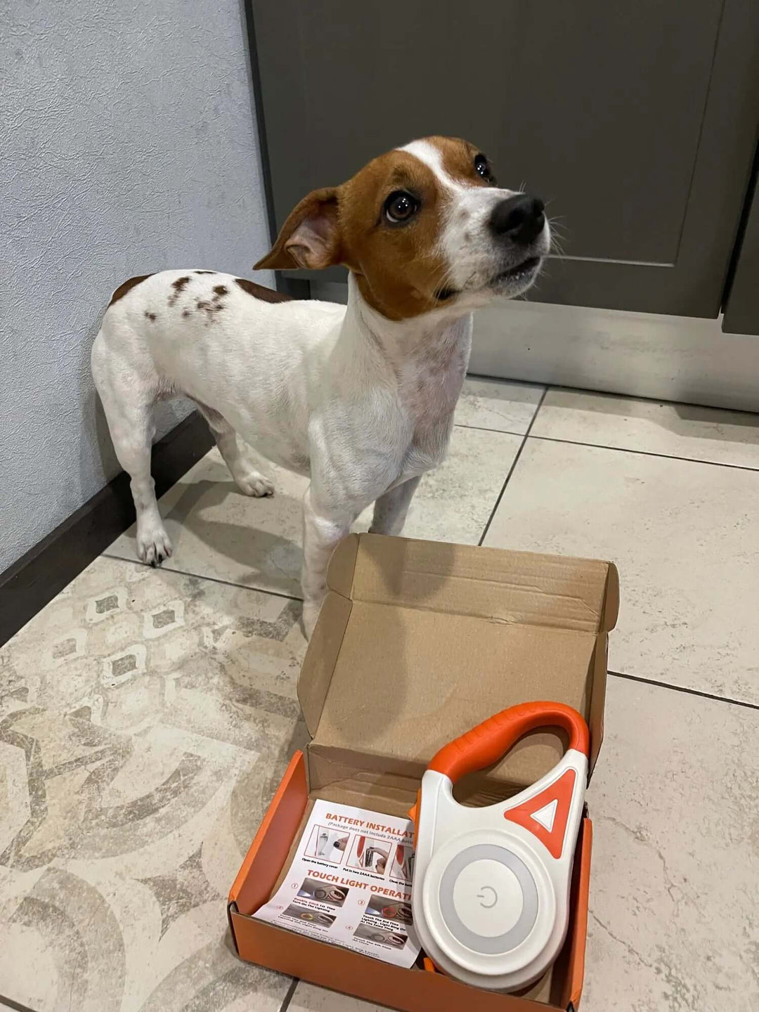 Laisse pour chien LED avec lampe de poche, 5 m, laisse lumineuse