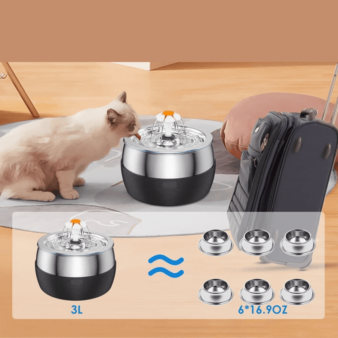 3L Edelstahl Trinkbrunnen mit Doppelauslauf, leiser Betrieb, modernes Design, ideal für Mehrtierhaushalte, fördert Hydration.