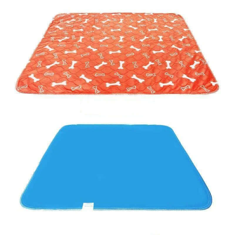 Tapis de dressage réutilisable pour chien