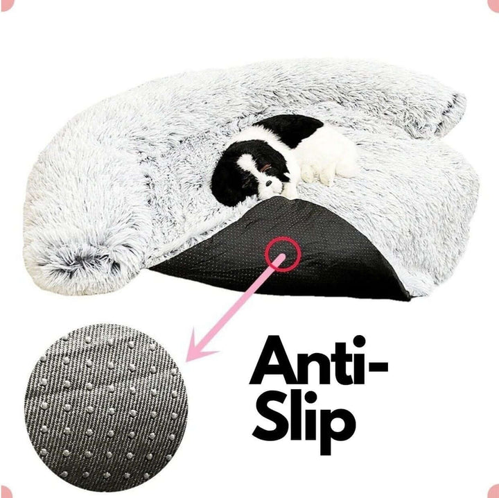 Couverture lavable pour canapé pour animaux de compagnie - Peluche