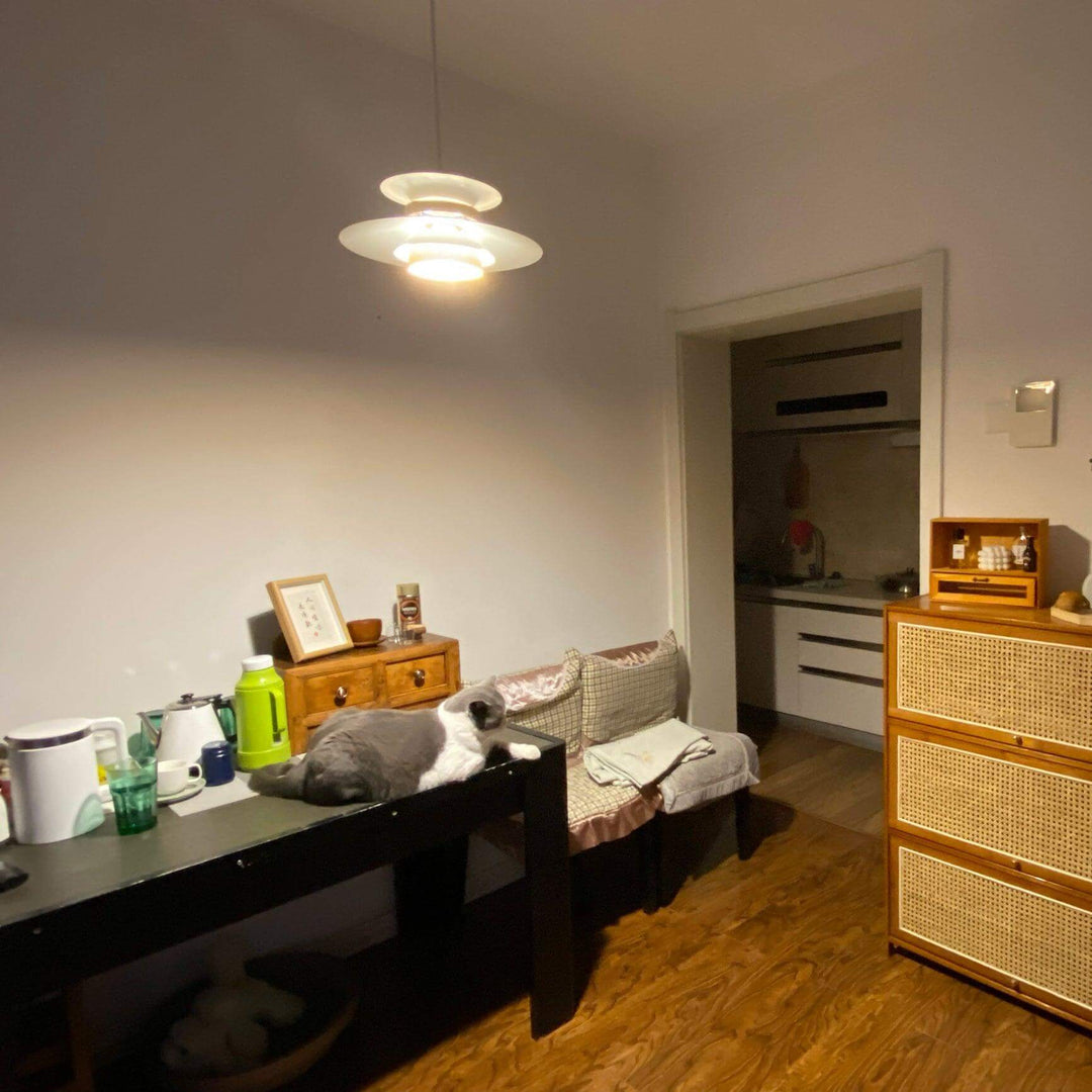 Suspension moderne en métal