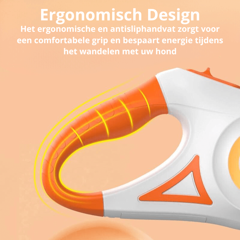 Laisse pour chien LED avec lampe de poche, 5 m, laisse lumineuse