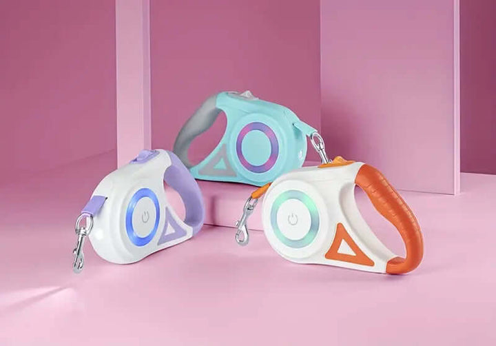 Laisse pour chien LED avec lampe de poche, 5 m, laisse lumineuse