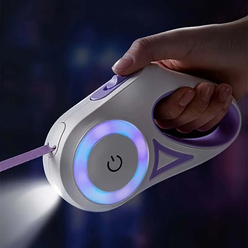 Laisse pour chien LED avec lampe de poche, 5 m, laisse lumineuse