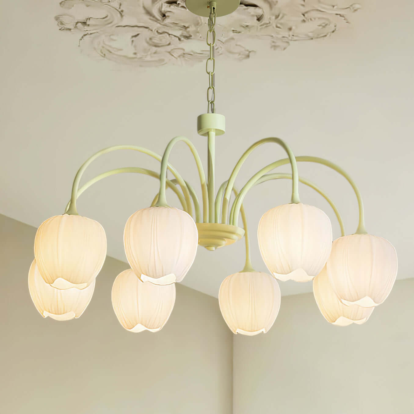 Tulpen-Matcha-Kronleuchter - 5-8 Leuchten