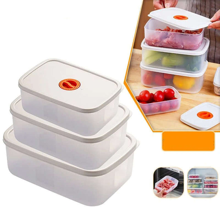 Boîte à bento multi-compartiments - Lunchbox durable