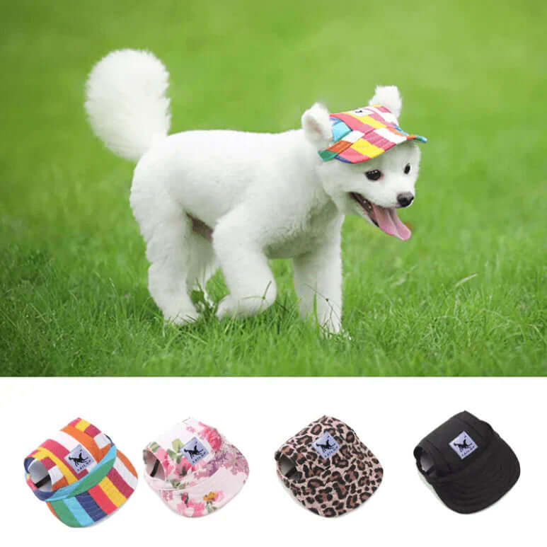 Casquette pour chien avec trous pour les oreilles et mentonnière