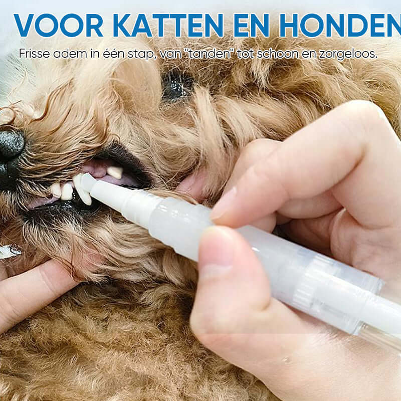 Stylo de soins dentaires pour chiens et chats