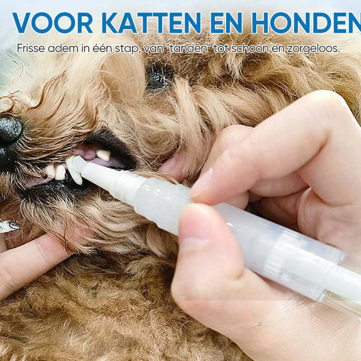 Stylo de soins dentaires pour chiens et chats