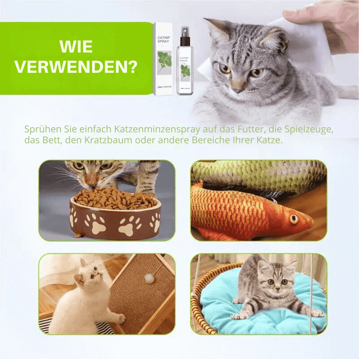 Kattespray med Sølvvin - Bliss Spray