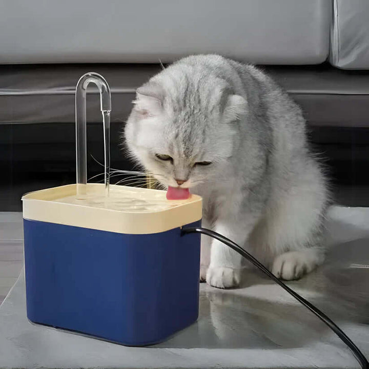 Fontaine à eau automatique pour chats