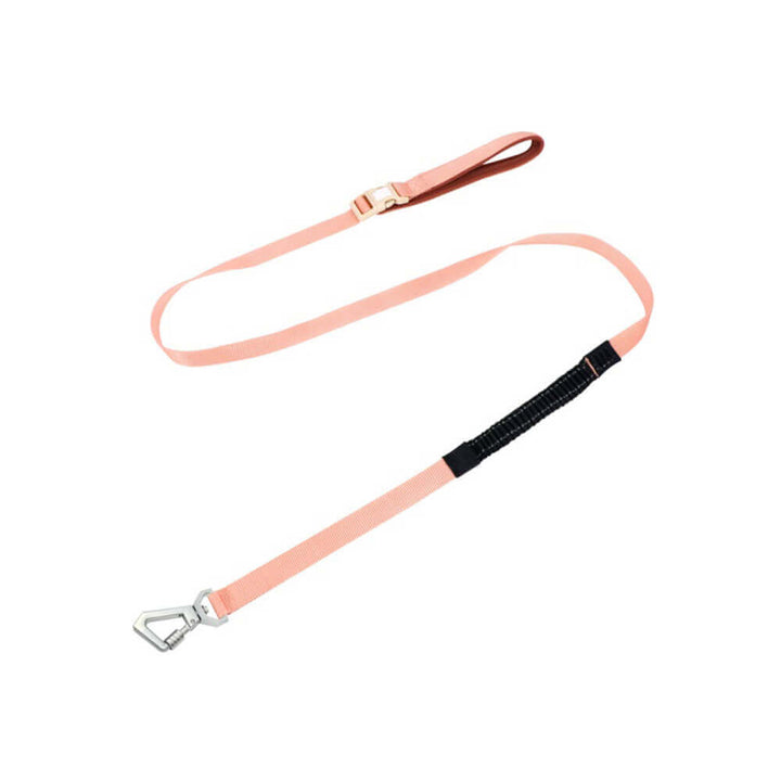 Ensemble harnais et laisse pour chien AquaCool - Anti-traction et imperméable