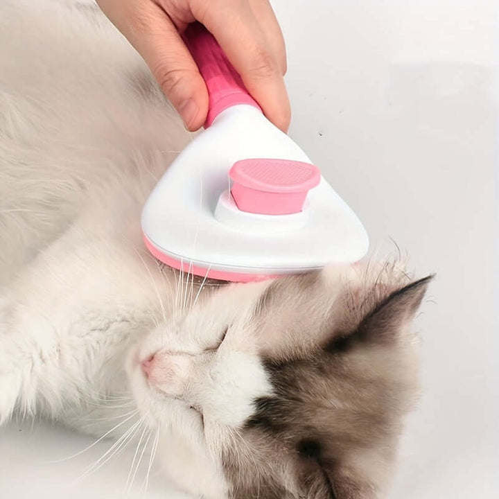 Brosse d'épilation pour animaux avec nettoyage en un clic