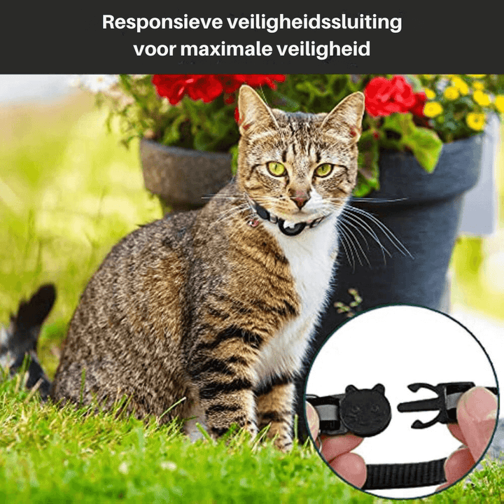Katzenhalsband mit Sicherheitsverschluss & GPS-Tracker Halterung