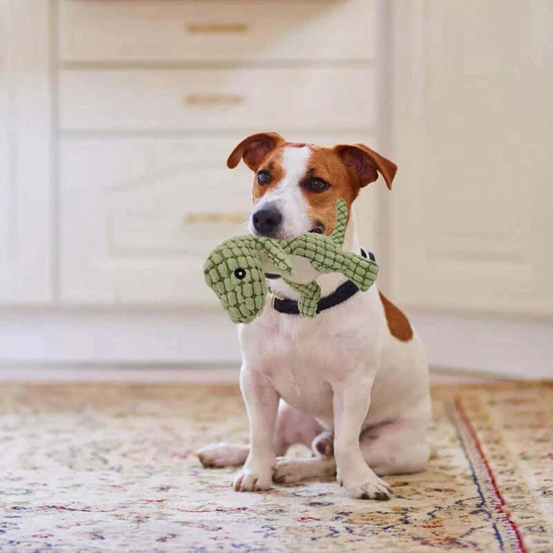Peluche dinosaure pour chiens et chats