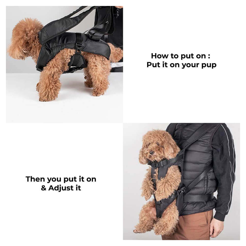 Hundetransport-Rucksack, verstellbar