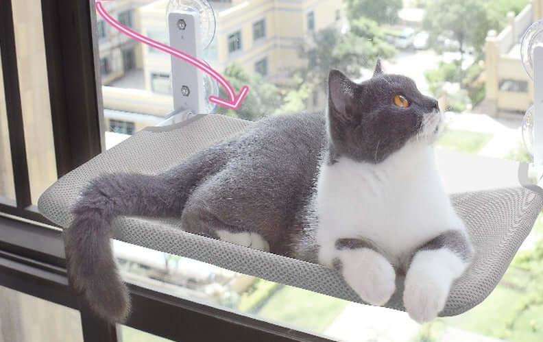 Hamac mural pour chats - vue panoramique