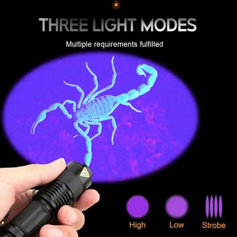 Lampe de poche UV LED - lampe à lumière noire pour taches