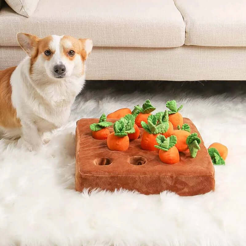 Jouet interactif pour chien : Tapis à renifler carottes