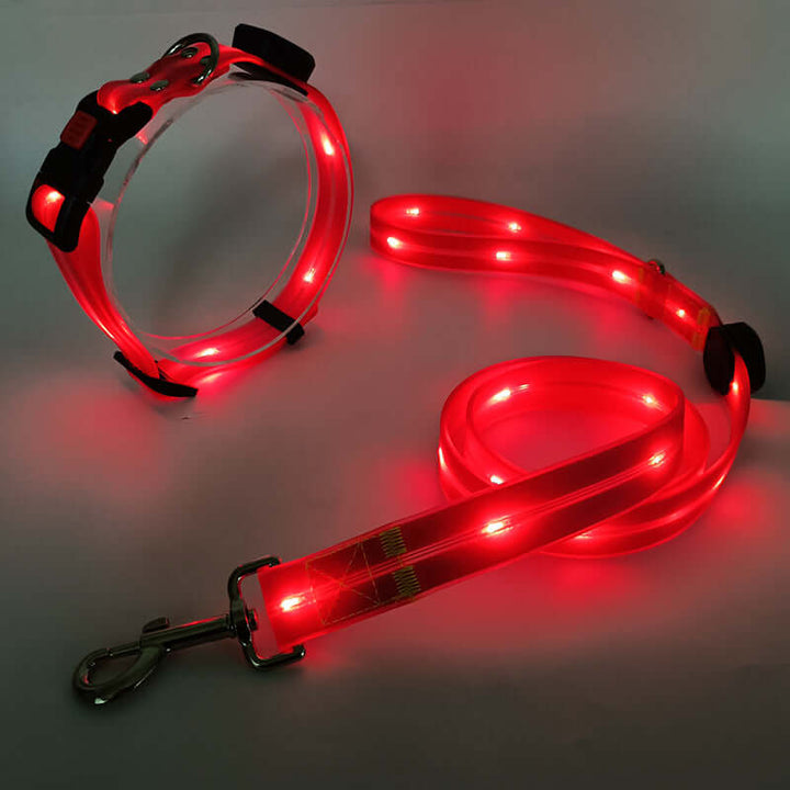 Collier LED pour chien avec laisse - Sûr et visible