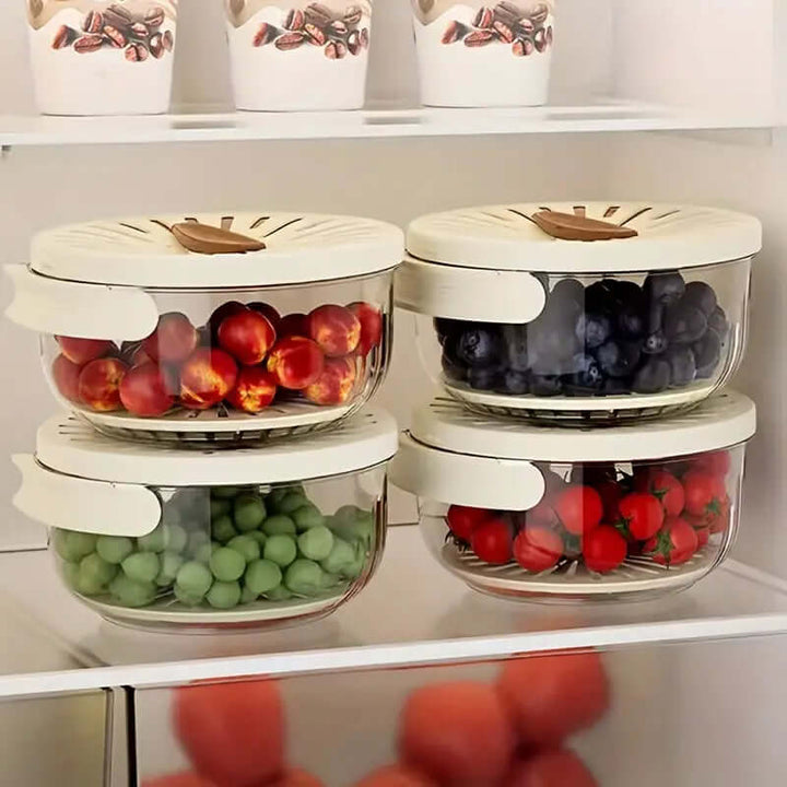 2in1 Abtropf- & Aufbewahrungsbehälter