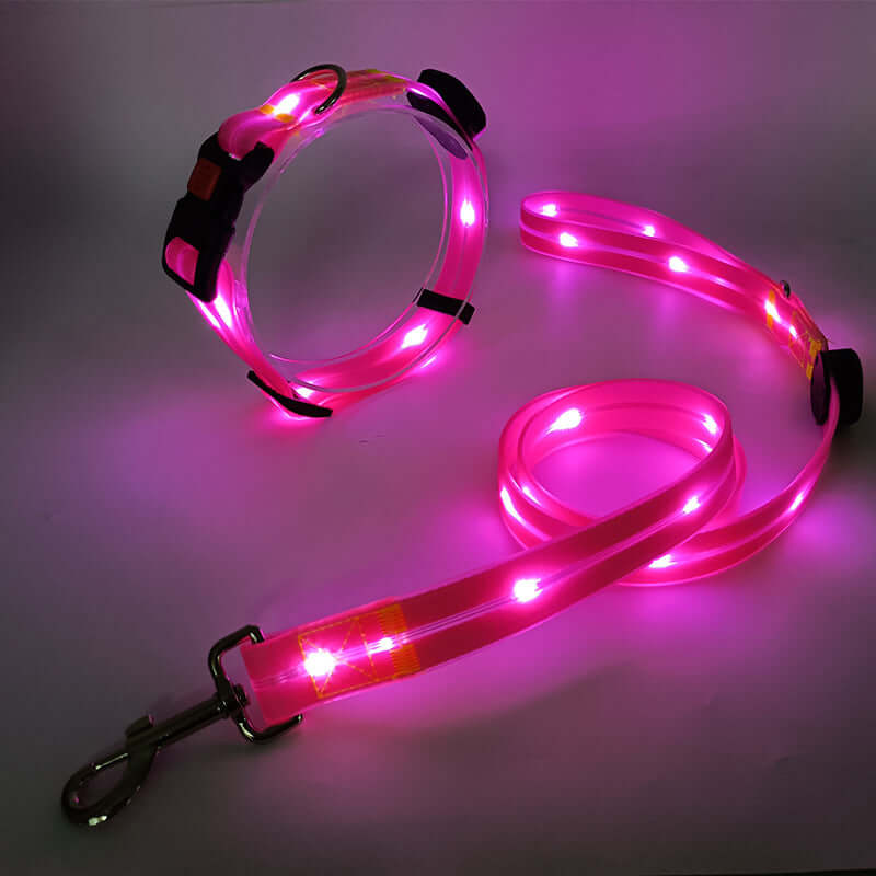 Collier LED pour chien avec laisse - Sûr et visible