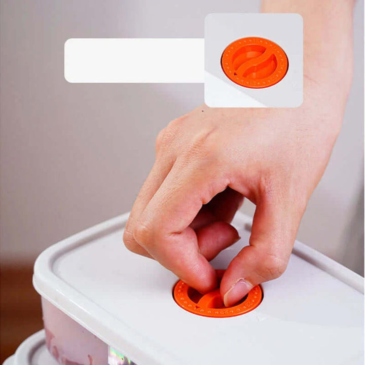 Boîte à bento multi-compartiments - Lunchbox durable