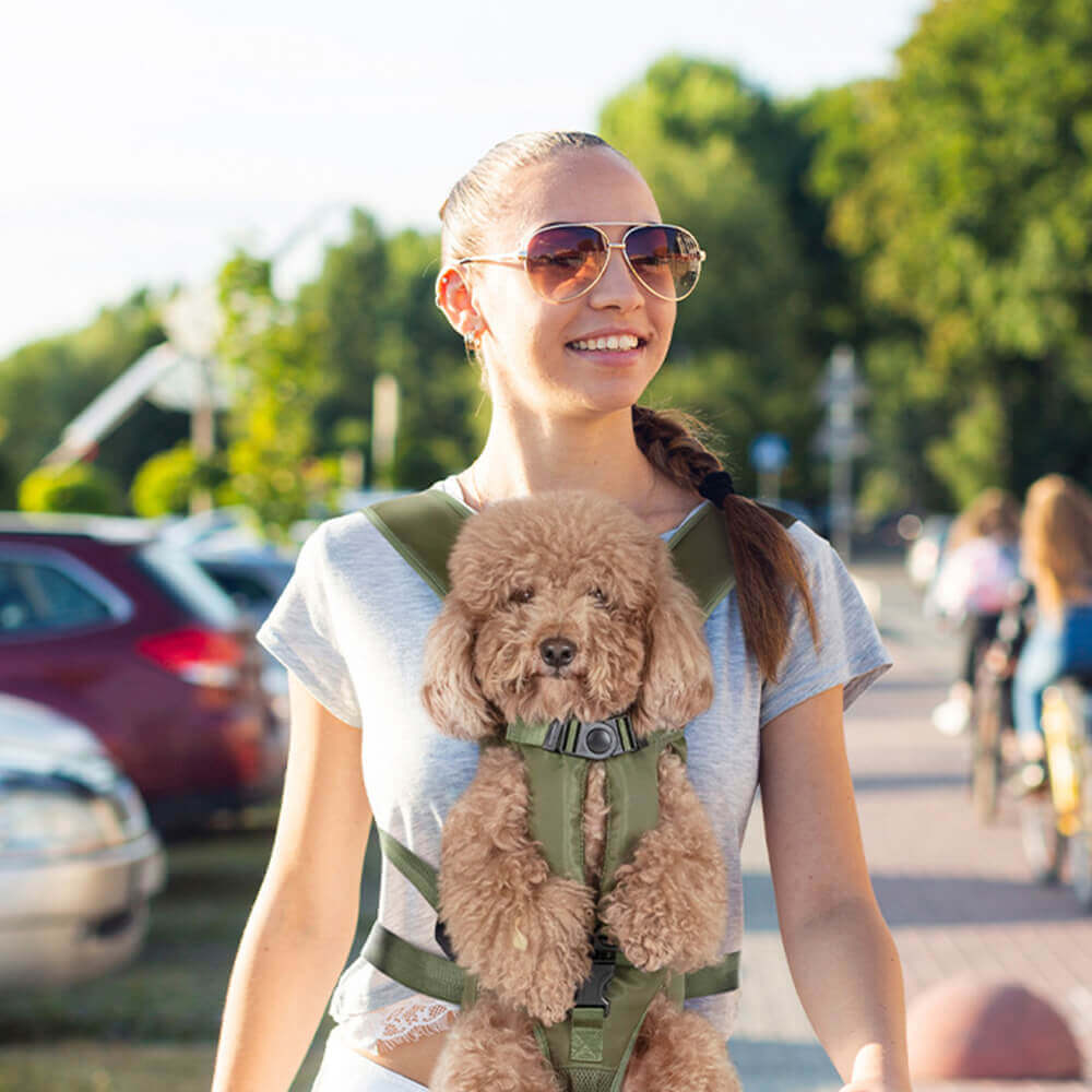 Hundetransport-Rucksack, verstellbar
