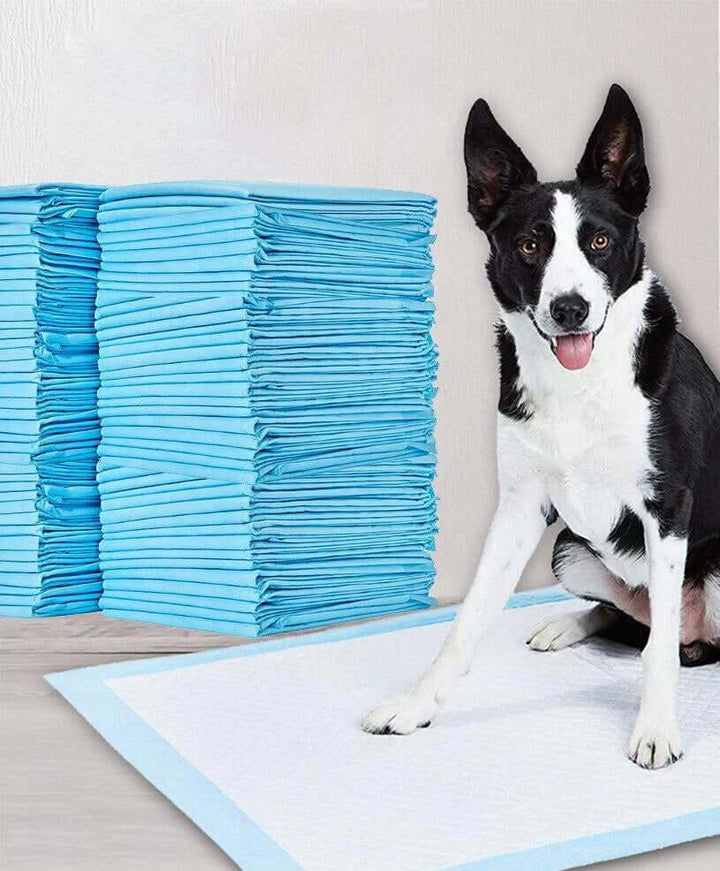 Tapis d'entraînement absorbants pour chiots - Paquet de 100