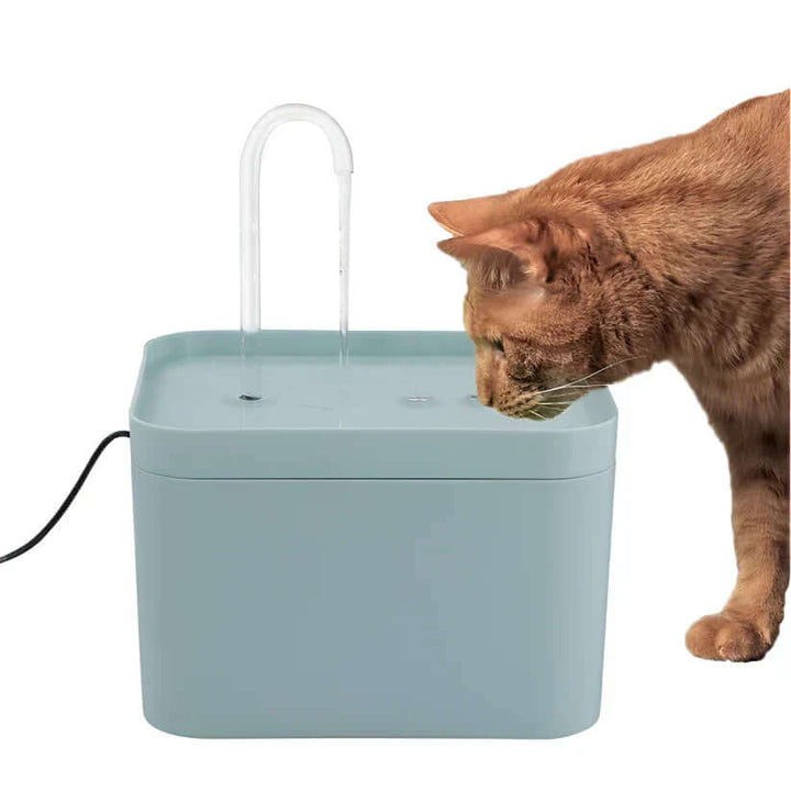 Fontaine à eau automatique pour chats
