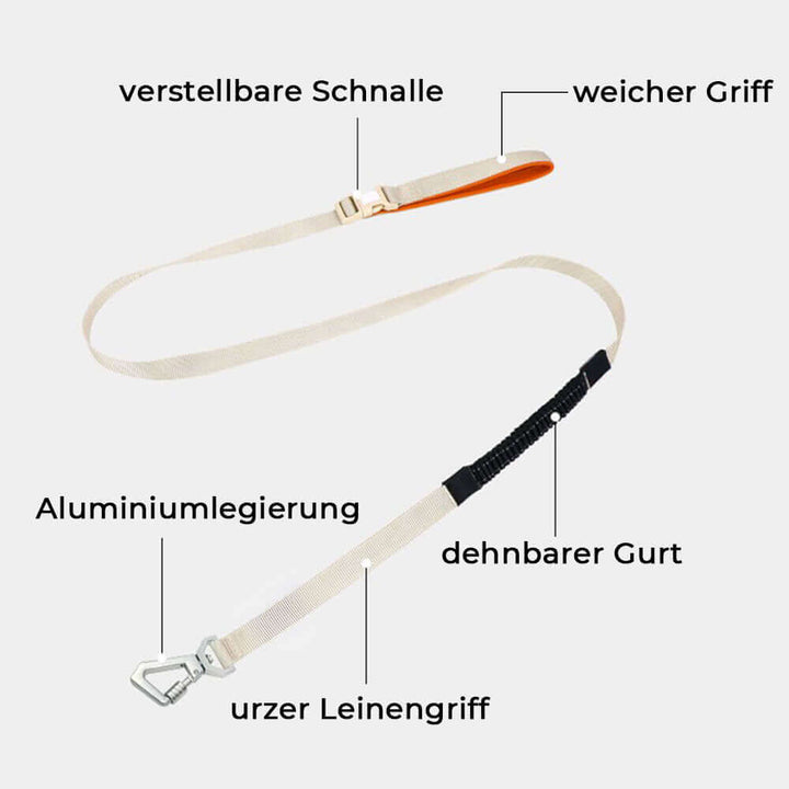 Ensemble harnais et laisse pour chien AquaCool - Anti-traction et imperméable