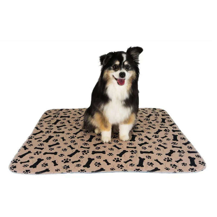 Tapis de dressage réutilisable pour chien